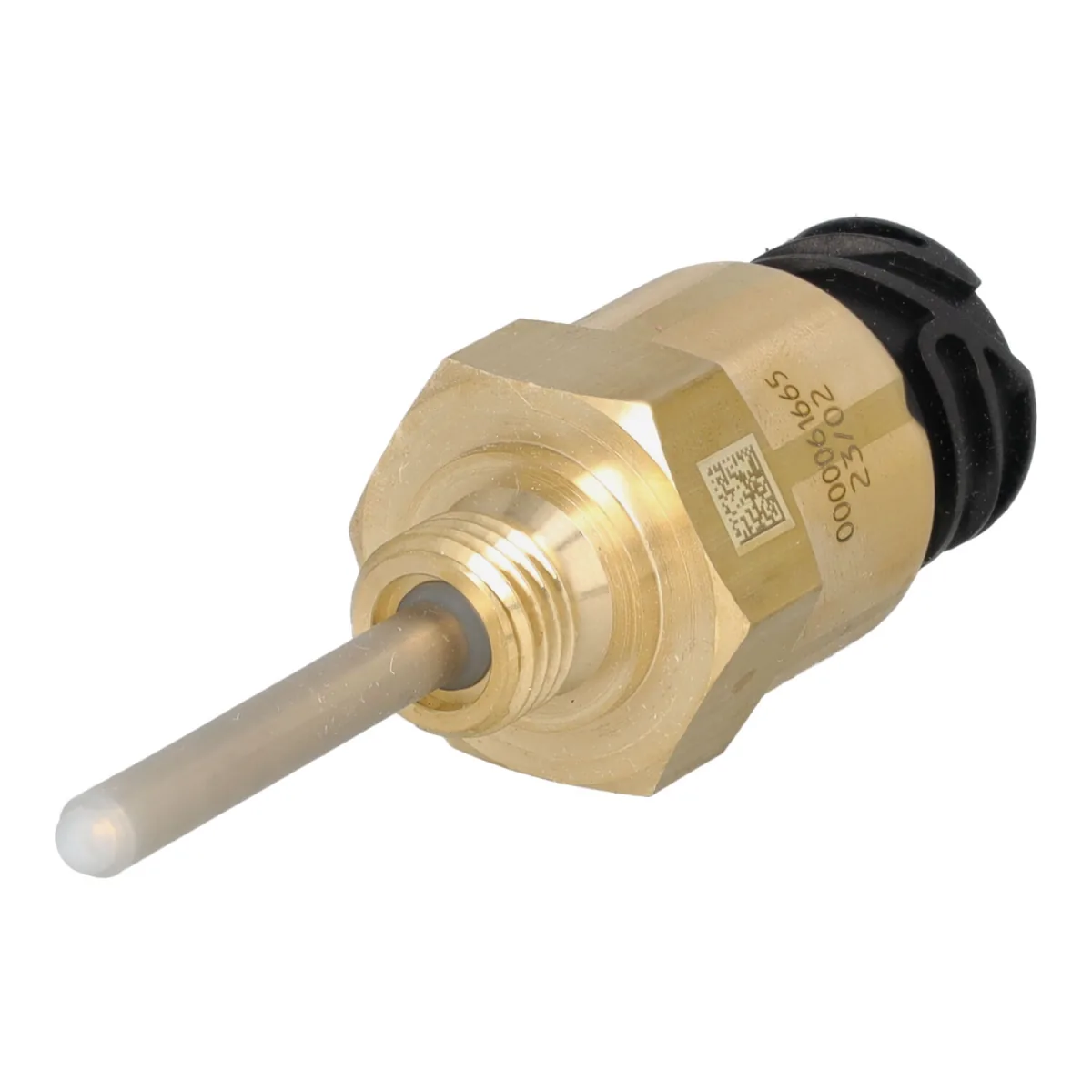 BEDIA 320459 (320459)