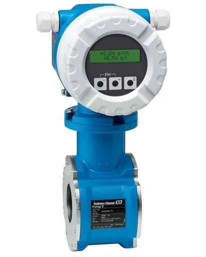 Endress+Hauser 10D (10D)