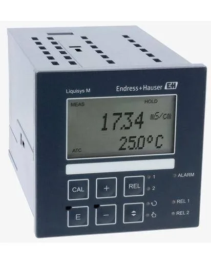 Endress+Hauser CLM223 (CLM223)