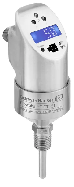 Endress+Hauser DTT31-A1C111AB2AAB (DTT31A1C111AB2AAB)