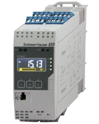 Endress+Hauser Endress-Hauser-RMA42 (EndressHauserRMA42)