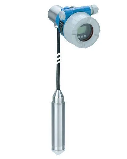 Endress+Hauser FMB53 (FMB53)