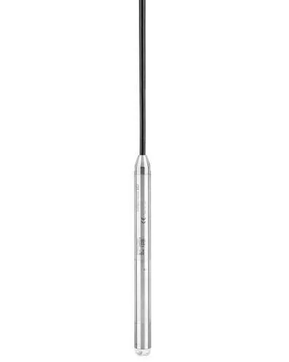 Endress+Hauser FMX21 (FMX21)