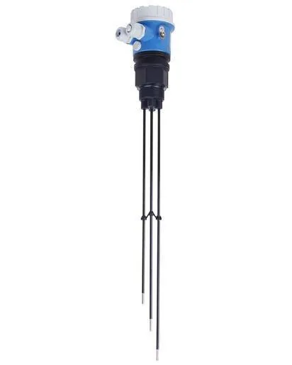 Endress+Hauser FTW31 (FTW31)