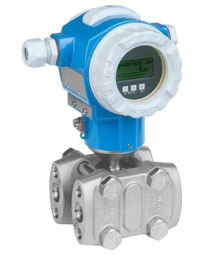 Endress+Hauser PMD75 (PMD75)