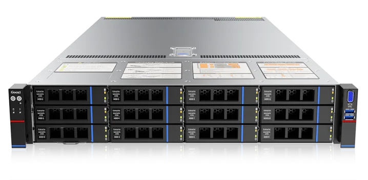 Gooxi SL201-D12R-NV-G4 (SL201D12RNVG4)