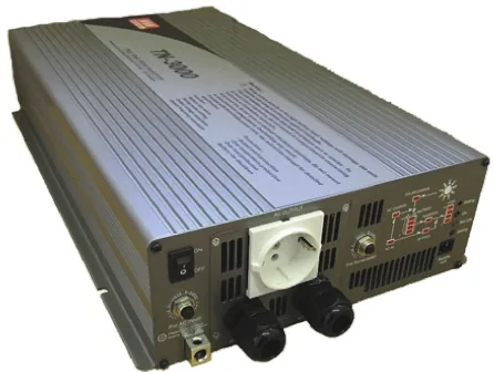 MEAN WELL TN-3000-224B (TN3000224B)