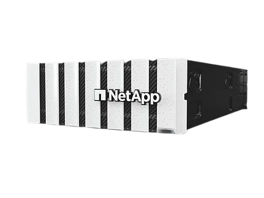 NetApp AFF-C800 (AFFC800)