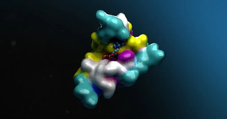 NVIDIA BioNeMo (BioNeMo)