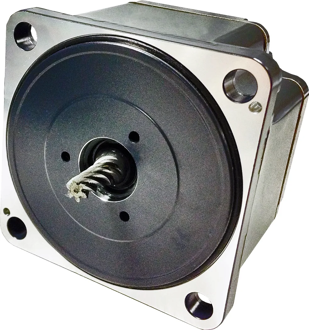 Oriental Motor BLHM230KC-GFS (BLHM230KCGFS)