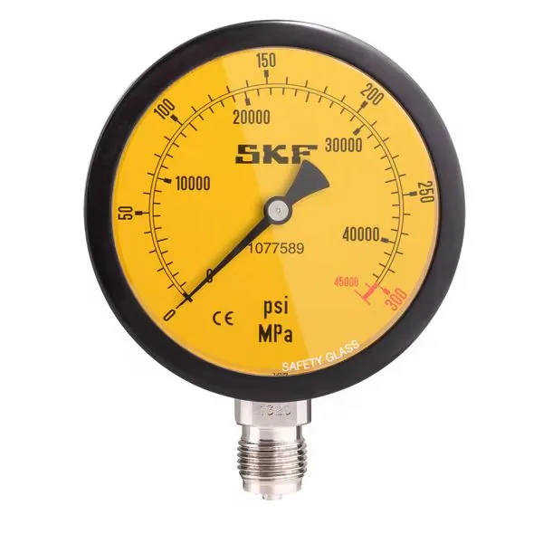 SKF 1077589 (1077589)