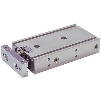 SMC CXSM15-100 (CXSM15100)