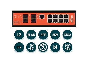 Wi-Tek WI-PMS312GF-I-v2 (WIPMS312GFIv2)