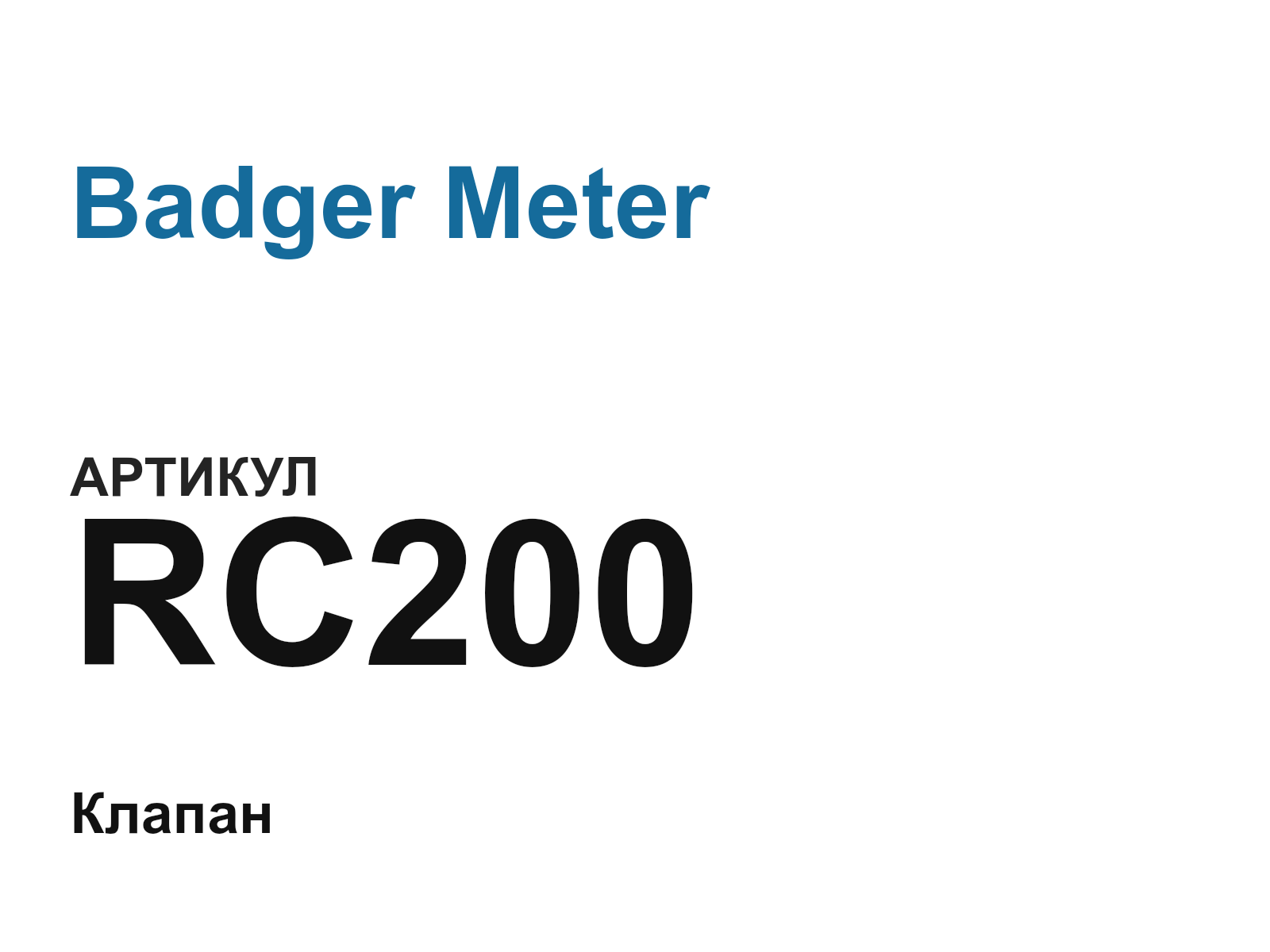 Badger Meter RC200 (RC200)