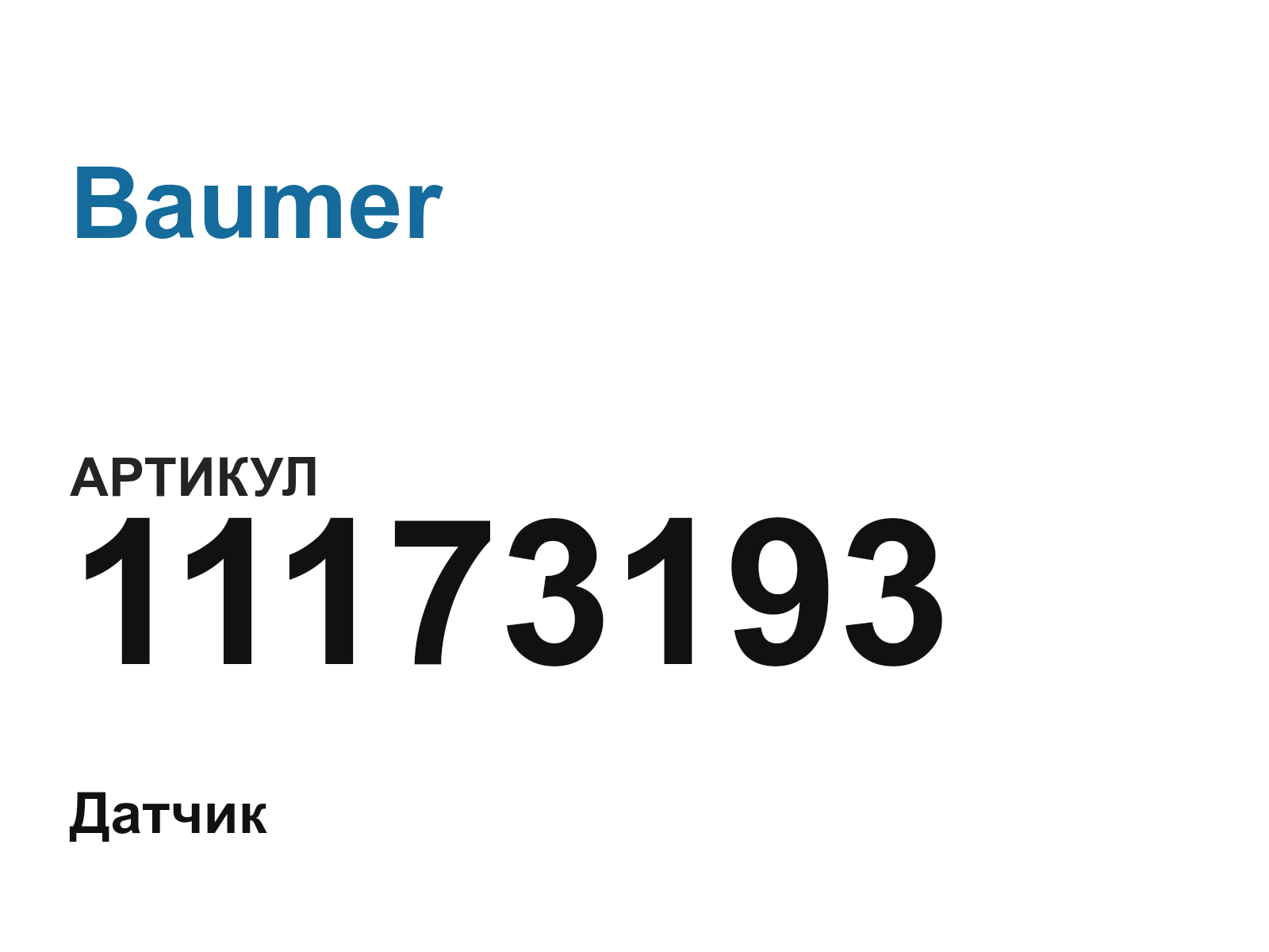 Baumer 11173193 (11173193)