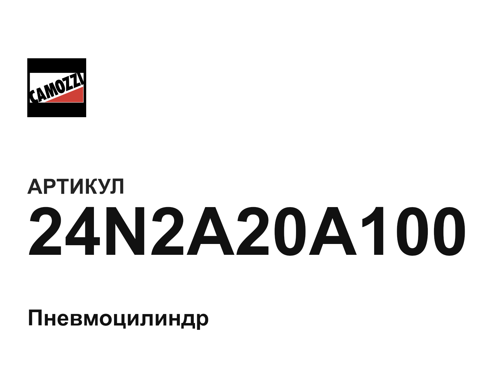 Camozzi 24N2A20A100 (24N2A20A100)