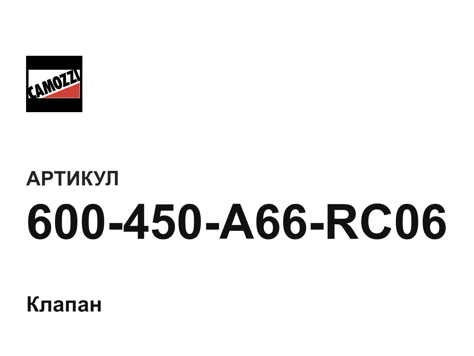 Camozzi 600-450-A66-RC06 (600450A66RC06)