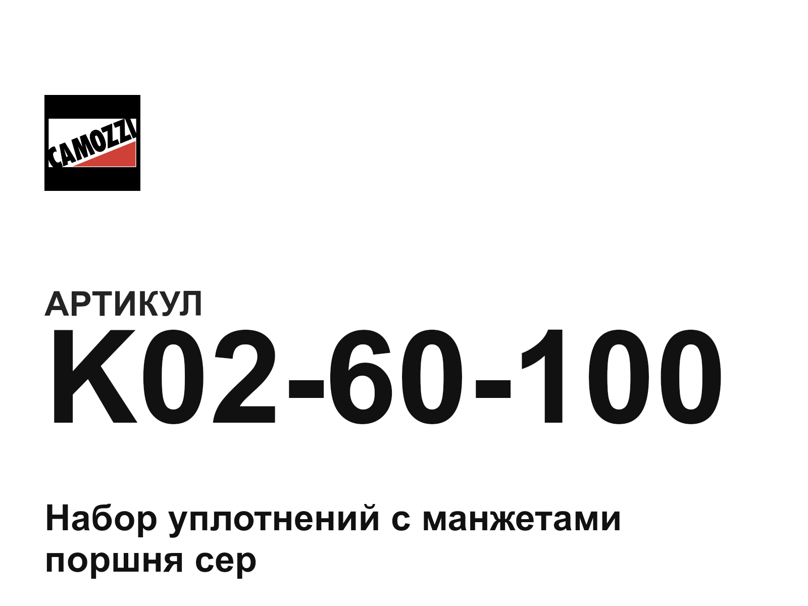 Camozzi K02-60-100 (K0260100)