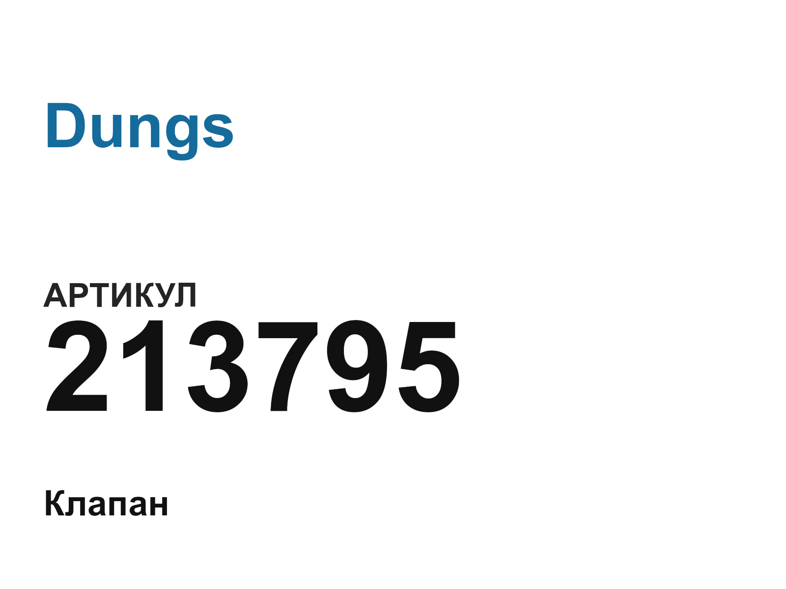 Dungs 213795 (213795)