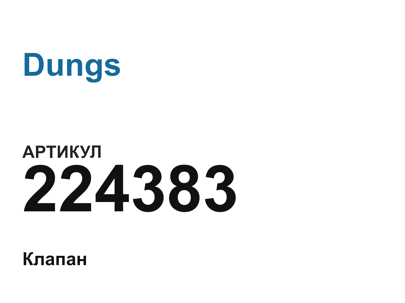 Dungs 224383 (224383)