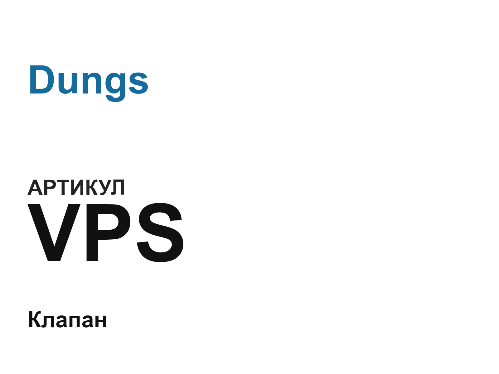 Dungs VPS (VPS)