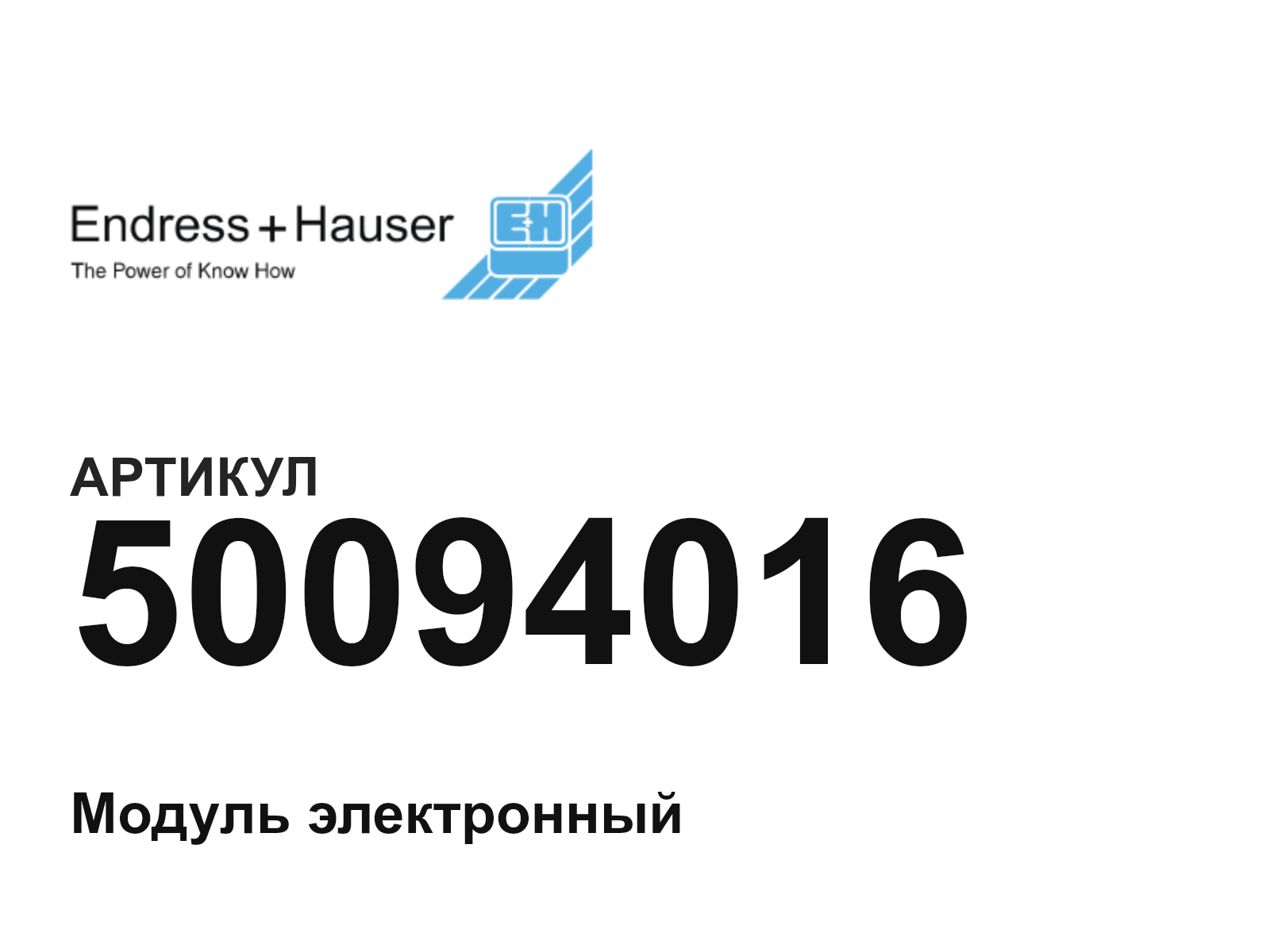 Endress+Hauser 50094016 (50094016)