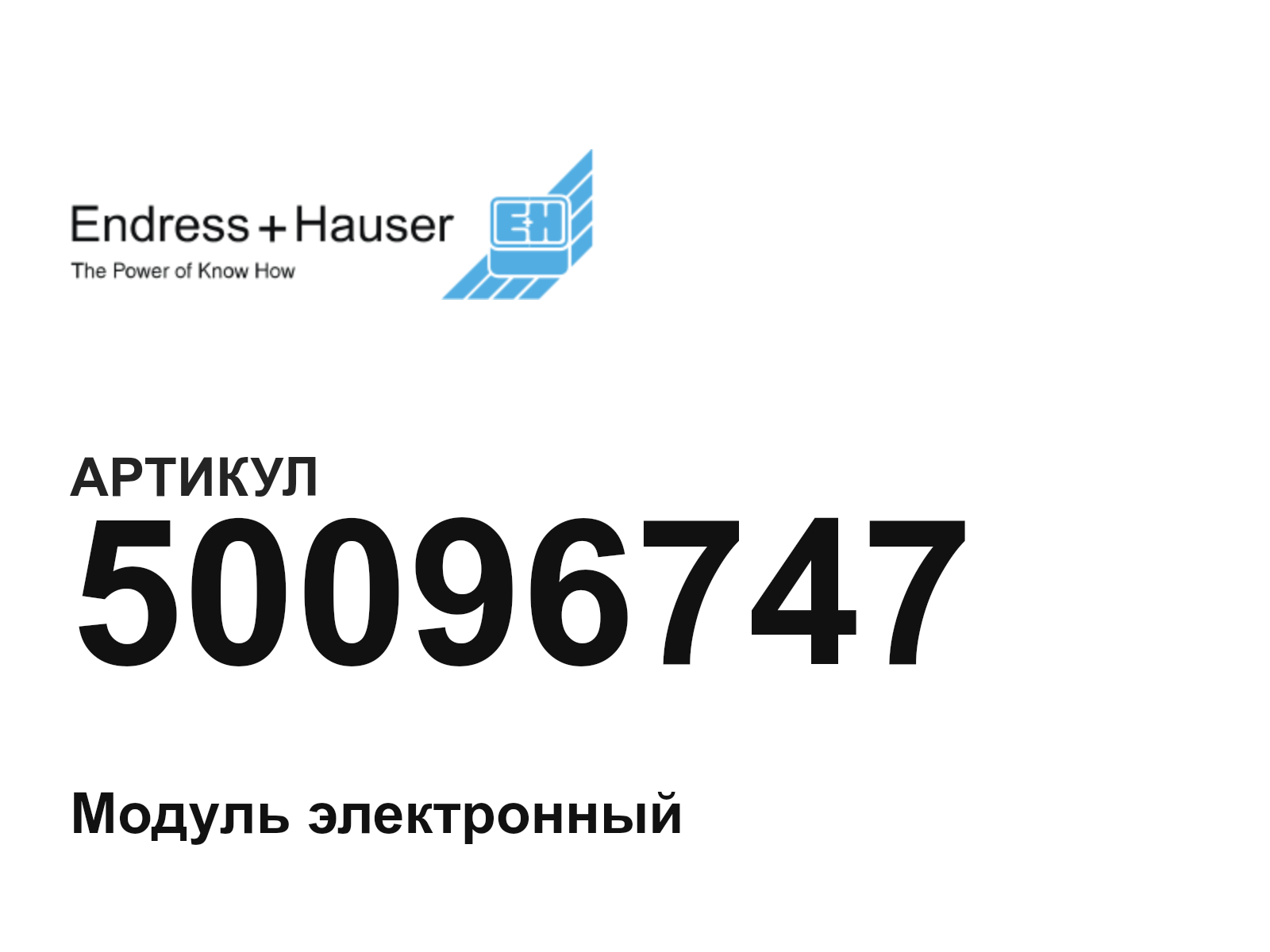 Endress+Hauser 50096747 (50096747)
