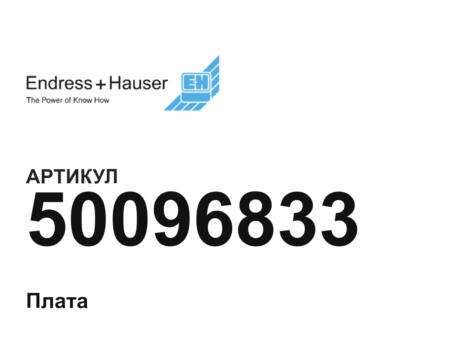 Endress+Hauser 50096833 (50096833)