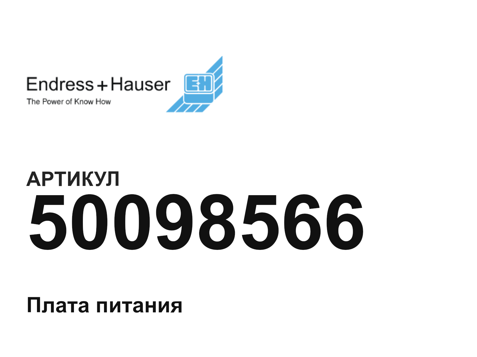 Endress+Hauser 50098566 (50098566)