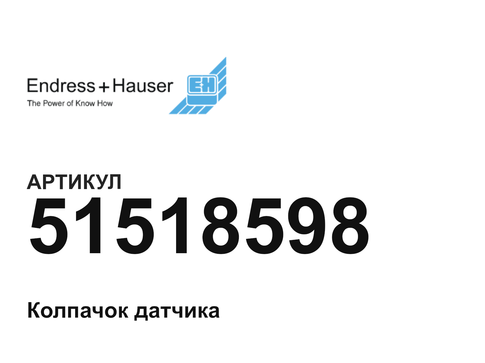 Endress+Hauser 51518598 (51518598)