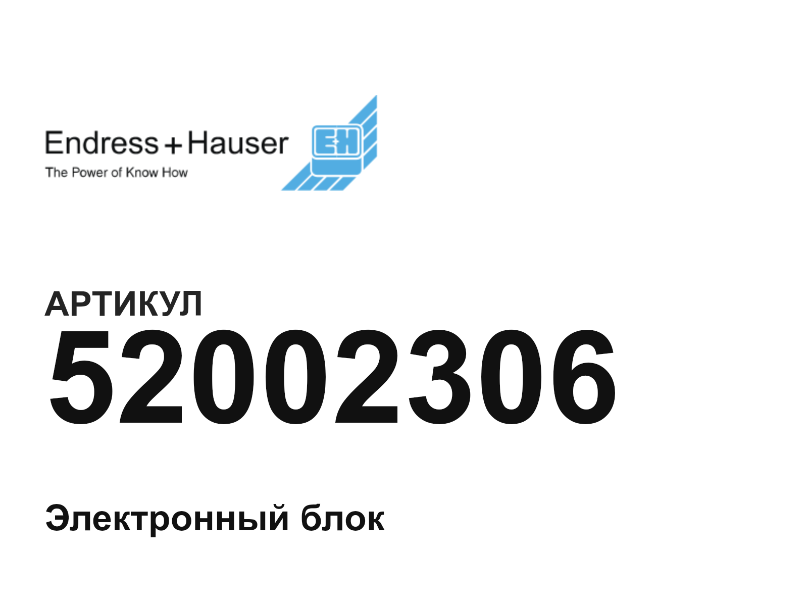 Endress+Hauser 52002306 (52002306)