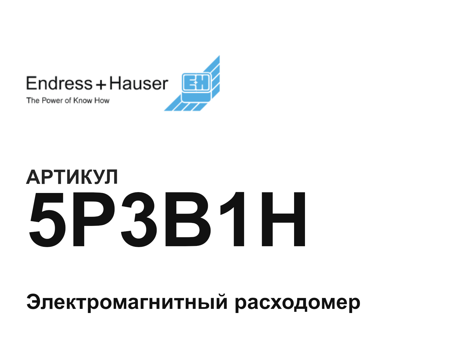 Endress+Hauser 5P3B1H (5P3B1H)