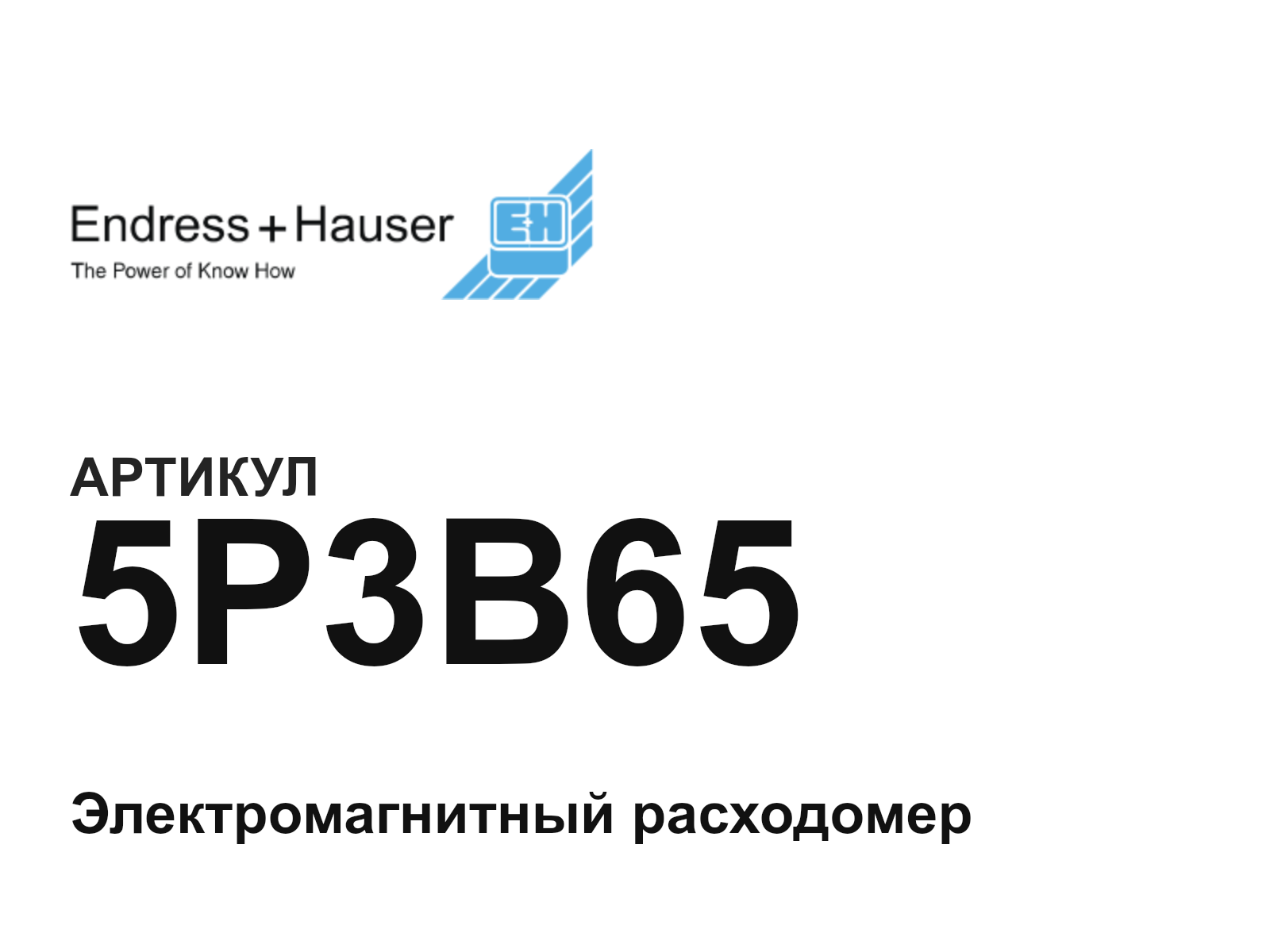 Endress+Hauser 5P3B65 (5P3B65)