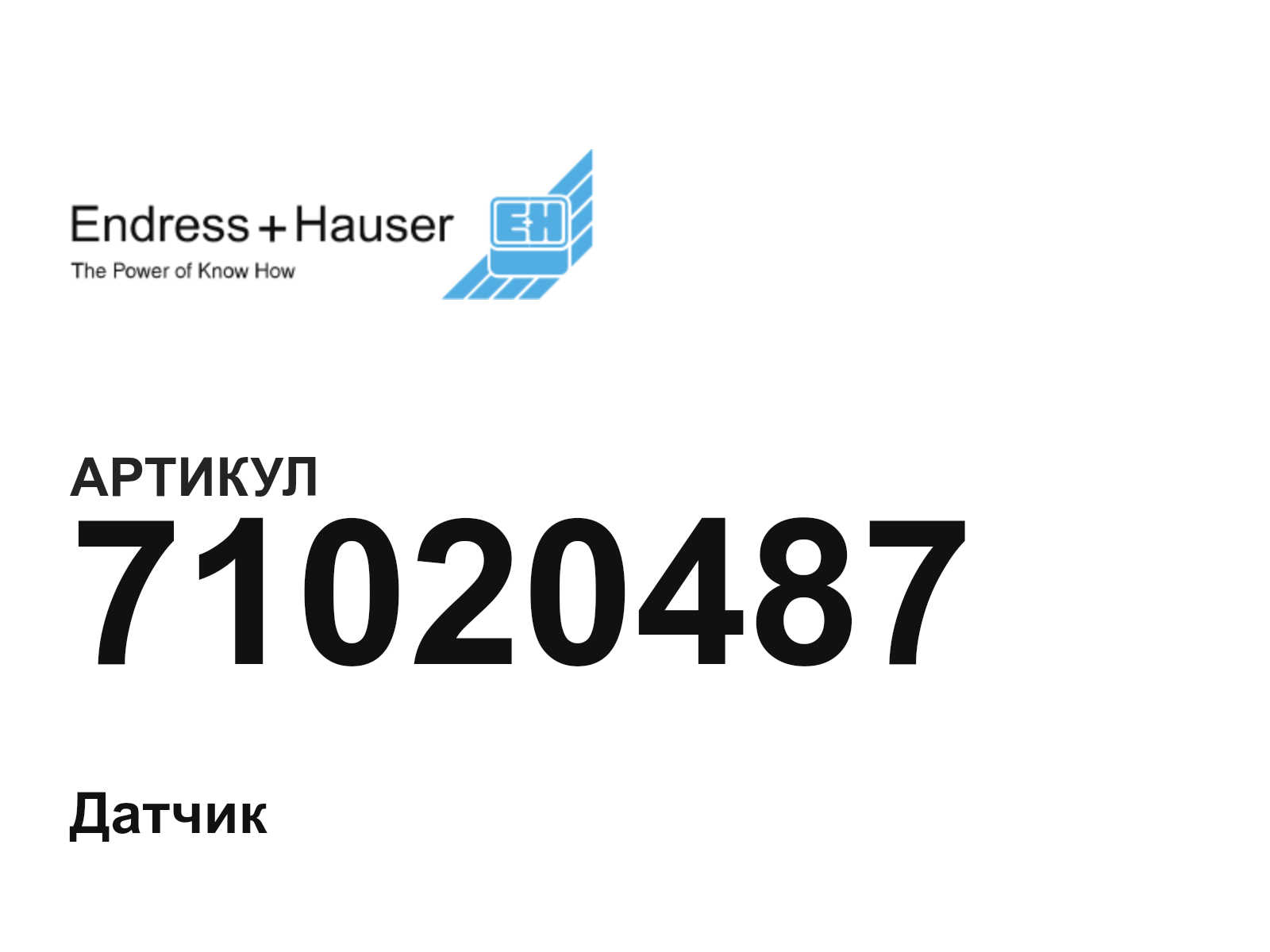 Endress+Hauser 71020487 (71020487)