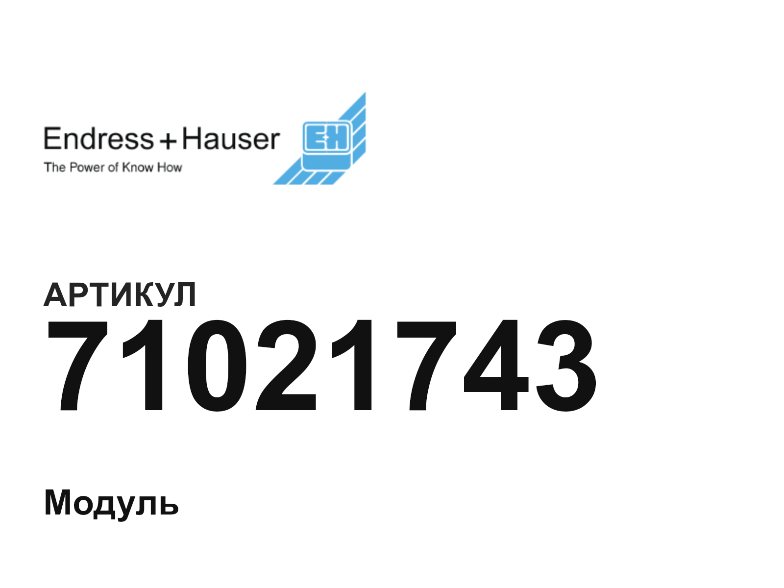 Endress+Hauser 71021743 (71021743)