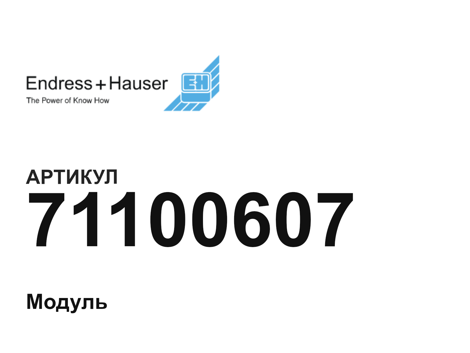 Endress+Hauser 71100607 (71100607)