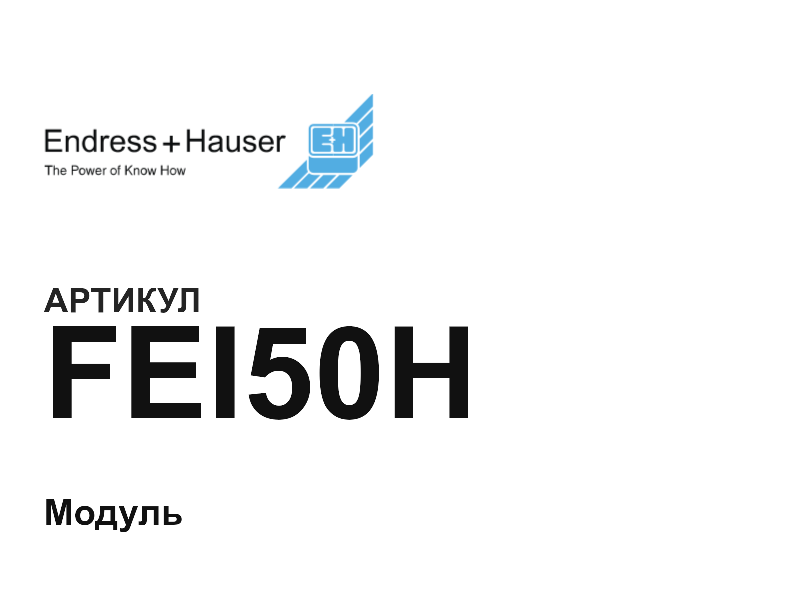 Endress+Hauser FEI50H (FEI50H)