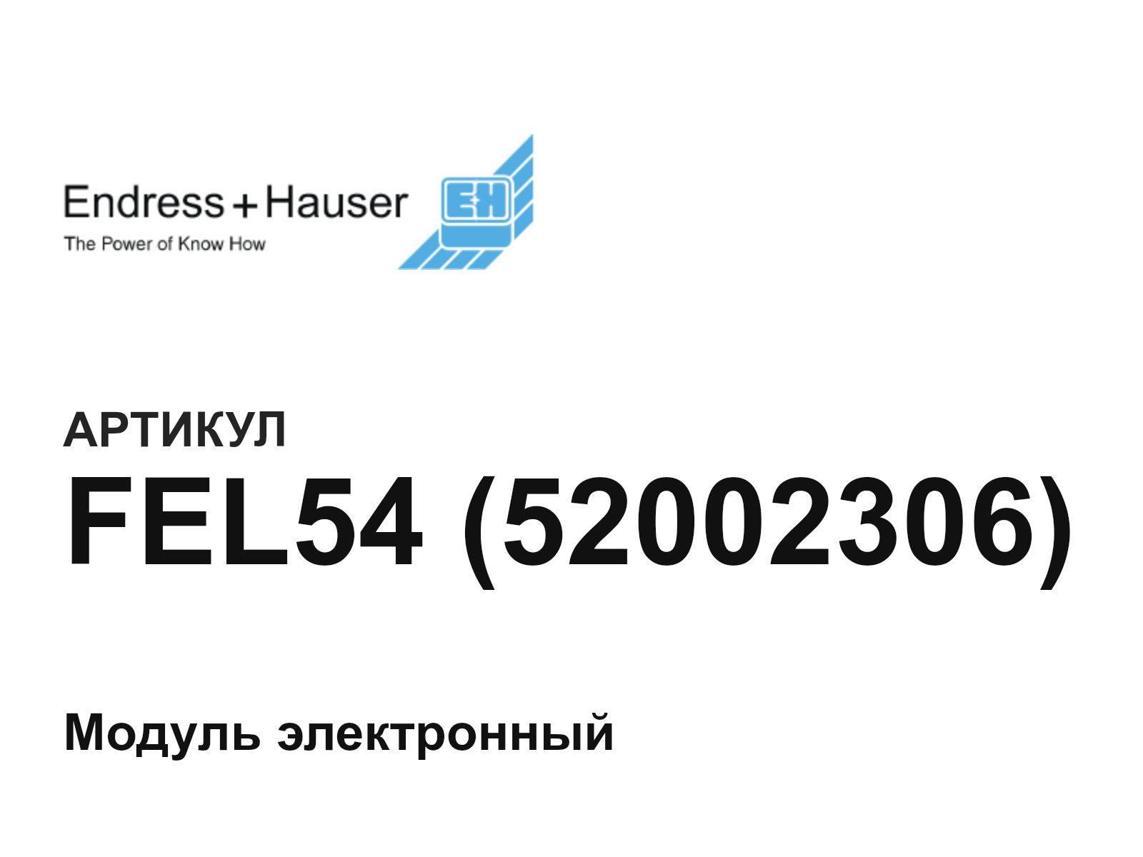 Endress+Hauser FEL54-52002306 (FEL5452002306)