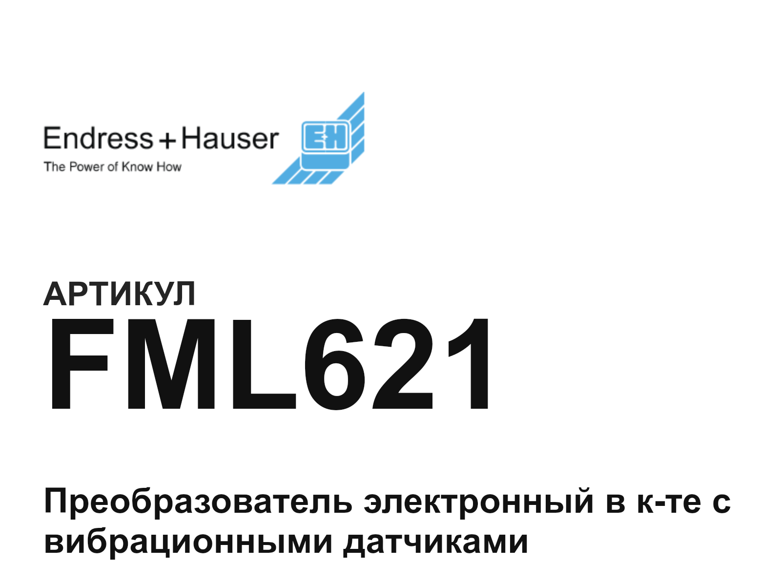 Endress+Hauser FML621 (FML621)