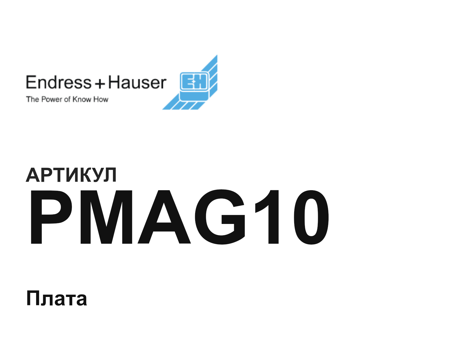 Endress+Hauser PMAG10 (PMAG10)
