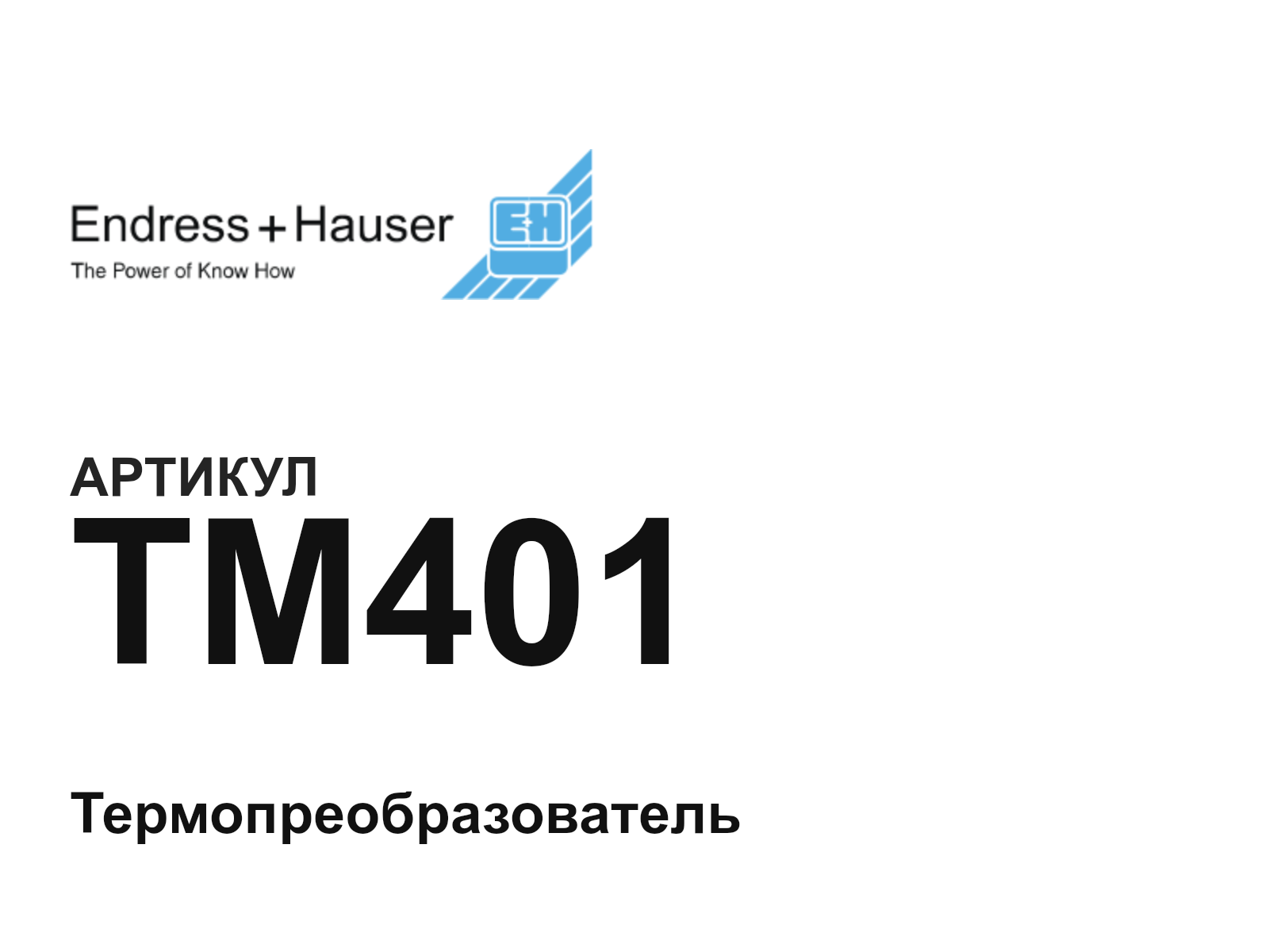 Endress+Hauser TM401 (TM401)