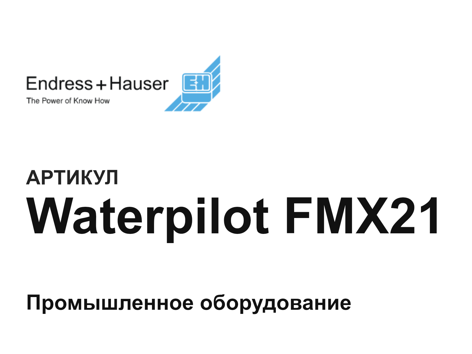 Endress+Hauser Waterpilot-FMX21 (WaterpilotFMX21)