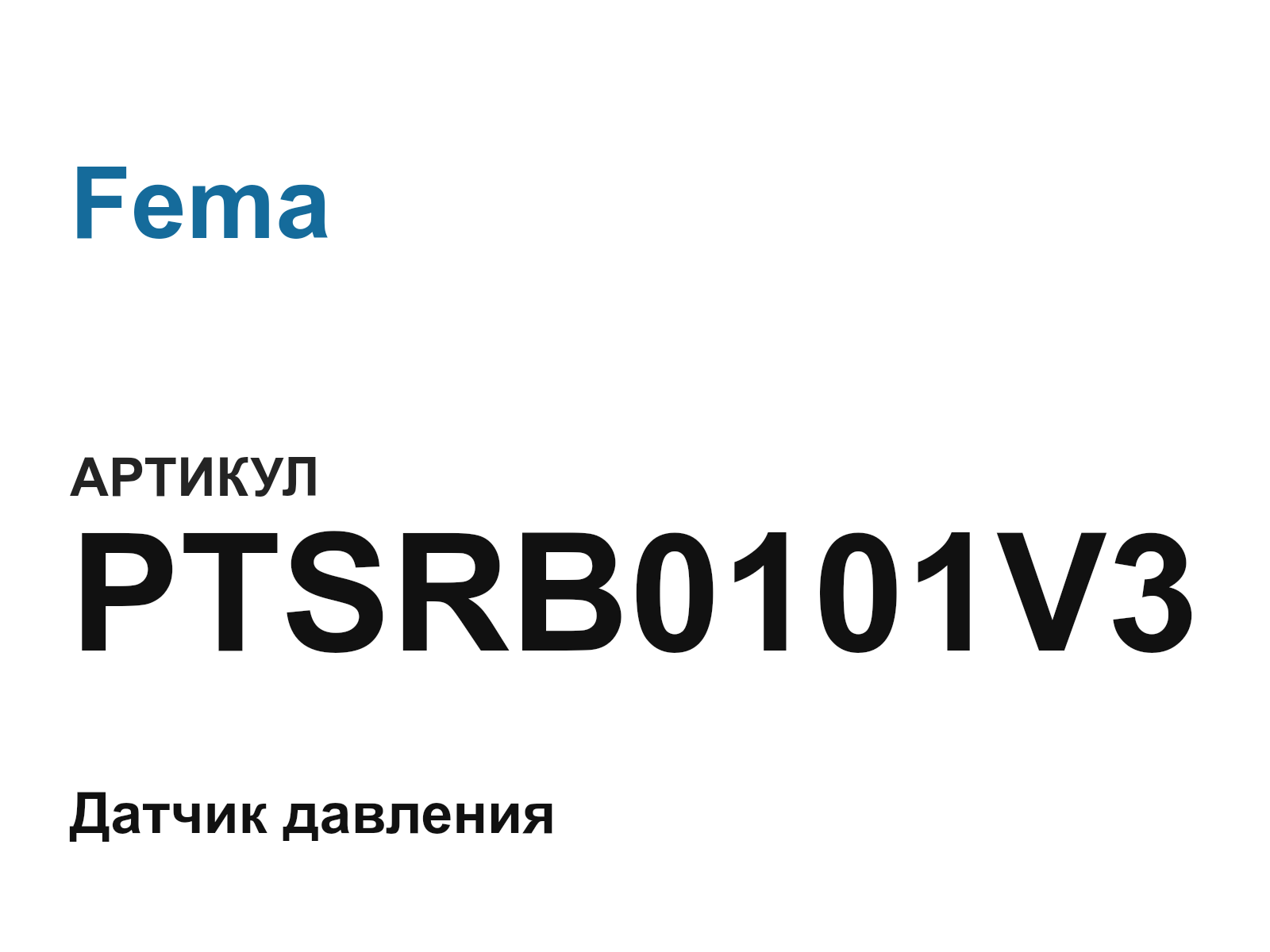 Fema PTSRB0101V3 (PTSRB0101V3)