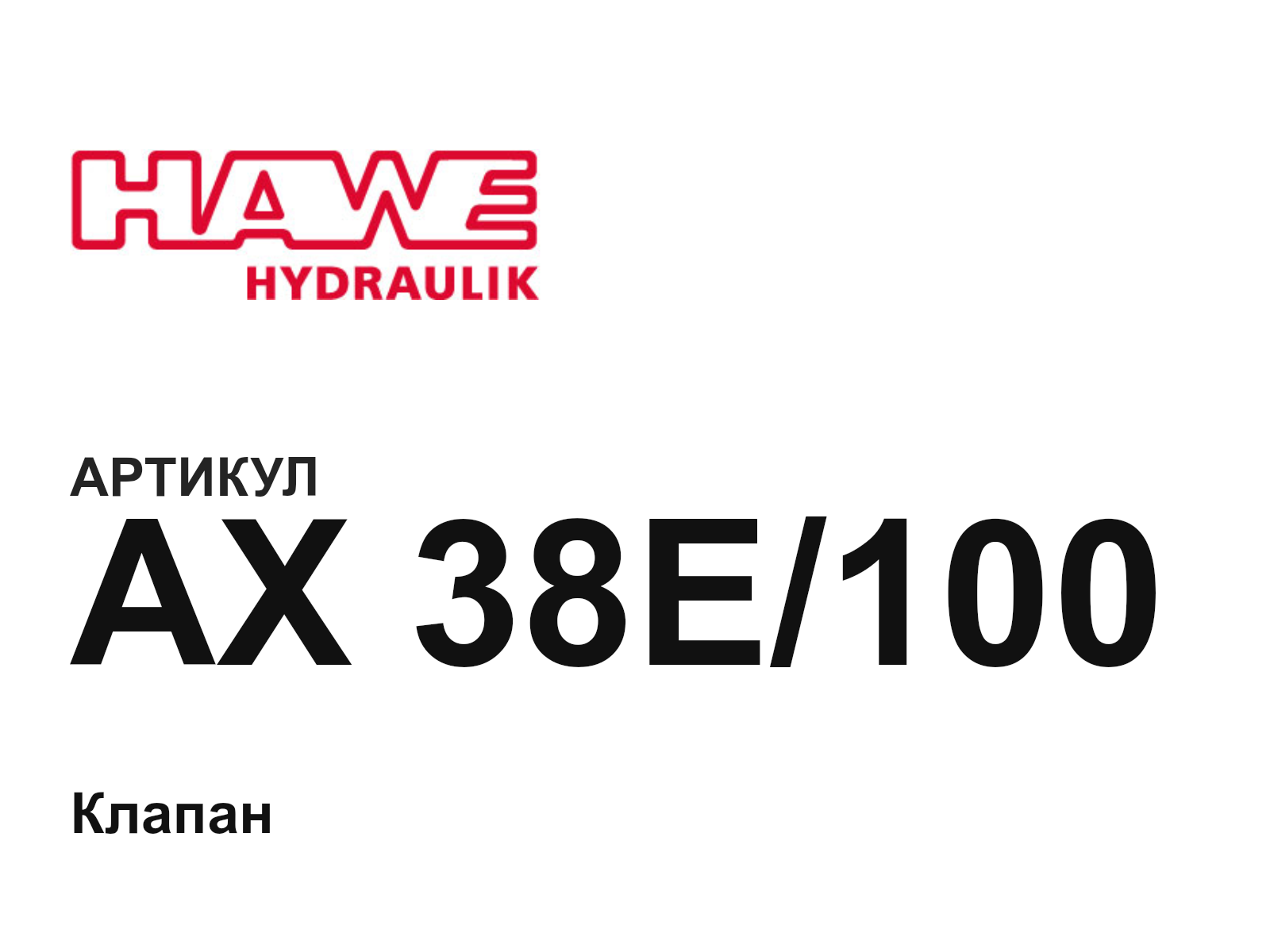 Hawe AX-38E-100 (AX38E100)