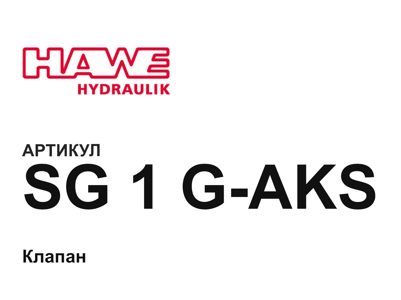 Hawe SG-1-G-AKS (SG1GAKS)