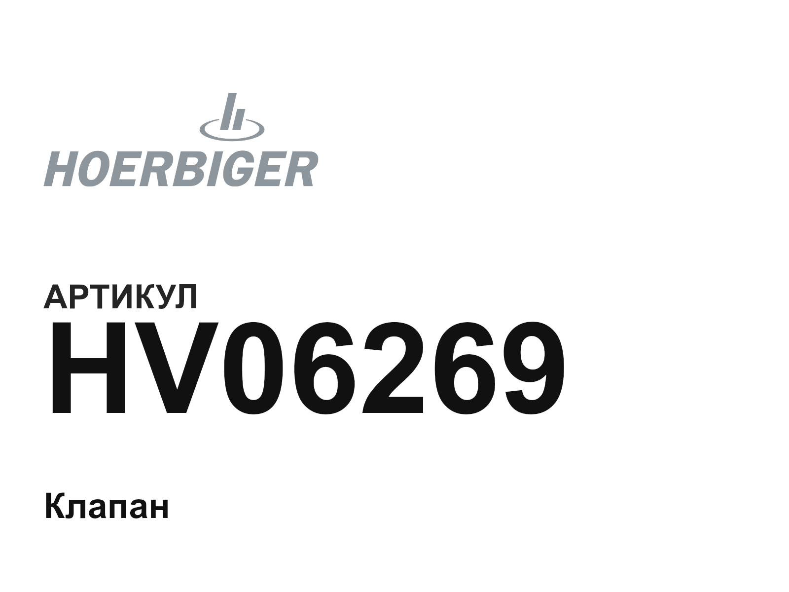 HOERBIGER HV06269 (HV06269)