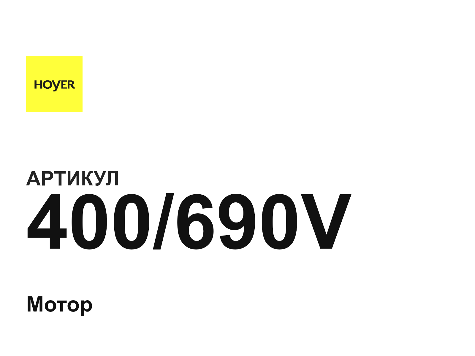 Hoyer Motors 400-690V (400690V)