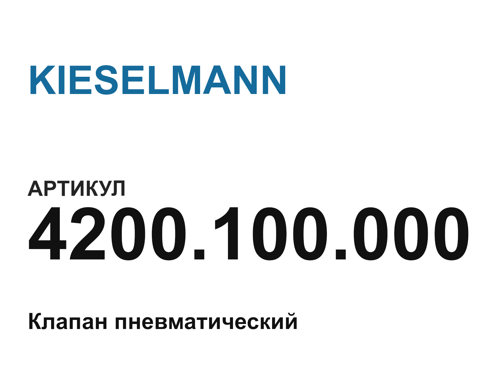 KIESELMANN 4200.100.000 (4200.100.000)