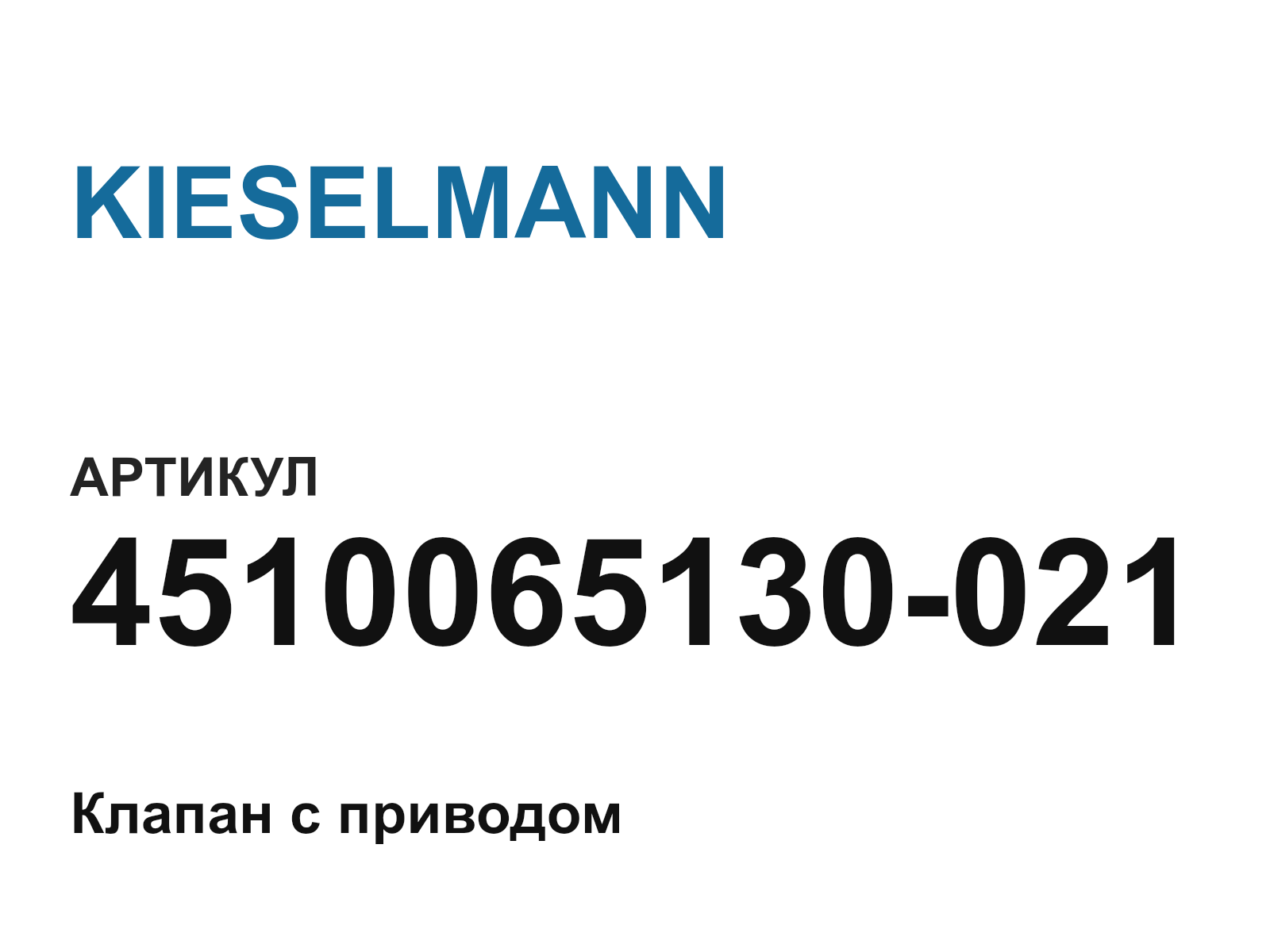 KIESELMANN 4510065130-021 (4510065130021)