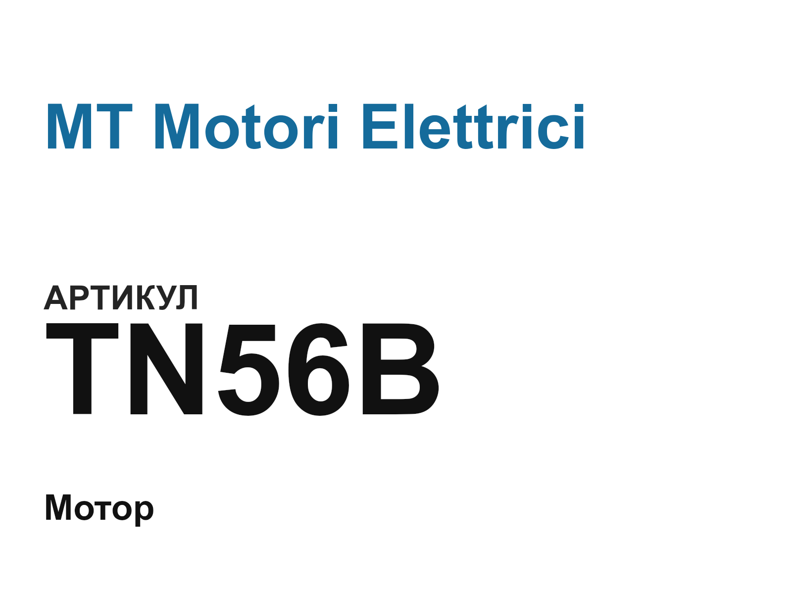 MT Motori Elettrici TN56B (TN56B)